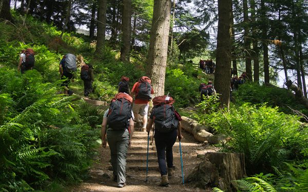 Foto van jongeren met rugzakken in bos